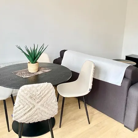 Beautiful T2 Tastefully Renovated Terrace - Madeleine *