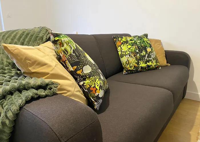 Beautiful T2 Tastefully Renovated Terrace - Madeleine * Angers